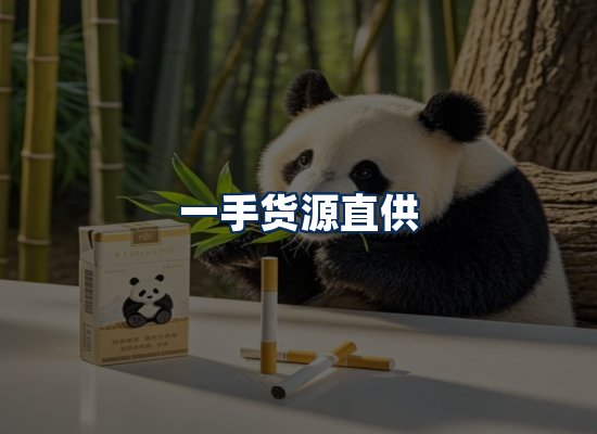 专业团队办公环境